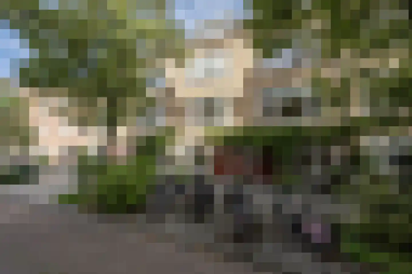 Vosmaerstraat 7 B Rotterdam thumbnail 36