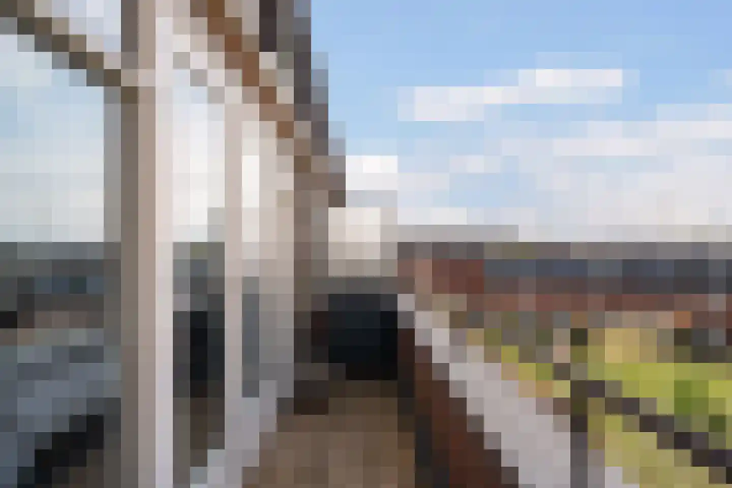 Vosmaerstraat 7 B Rotterdam thumbnail 39