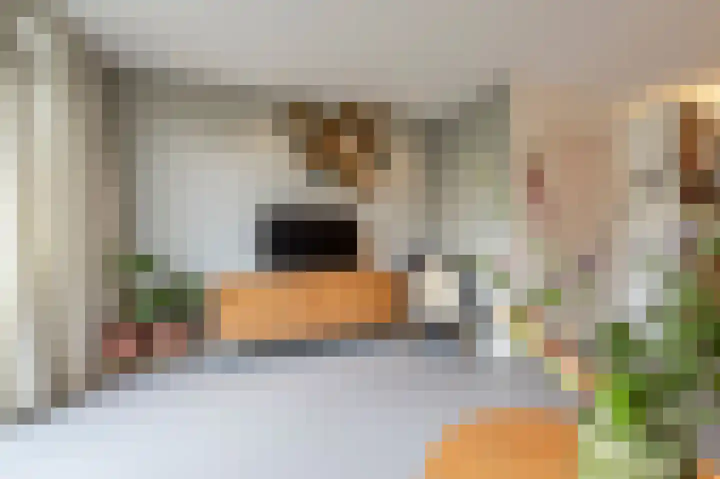 Vosmaerstraat 7 B Rotterdam thumbnail 6