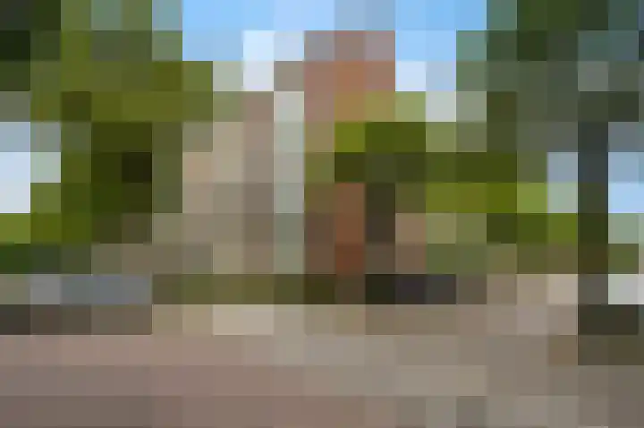 Vosmaerstraat 7 Delft thumbnail 5