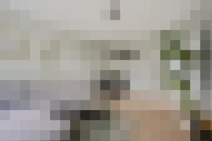 Vosmaerstraat 7 Delft thumbnail 9