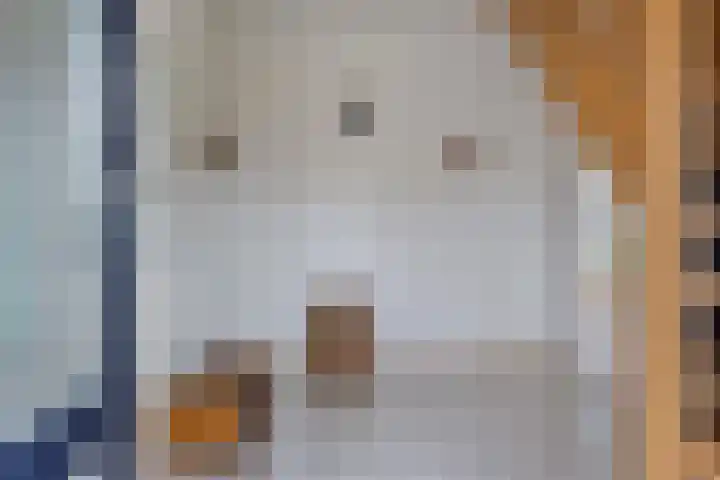 Vosmanskamp 2 Schalkhaar thumbnail 10