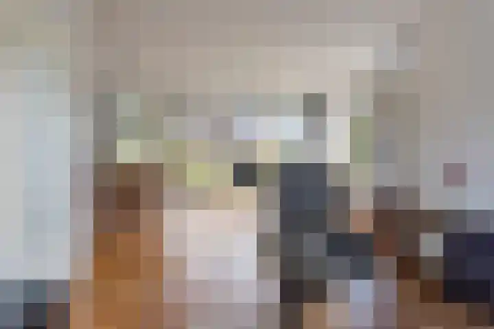 Vosmanskamp 2 Schalkhaar thumbnail 18