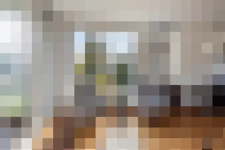 Vosmanskamp 2 Schalkhaar thumbnail 19
