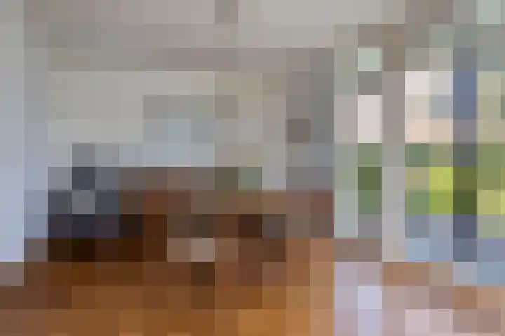 Vosmanskamp 2 Schalkhaar thumbnail 21