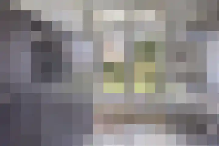 Vosmanskamp 2 Schalkhaar thumbnail 24