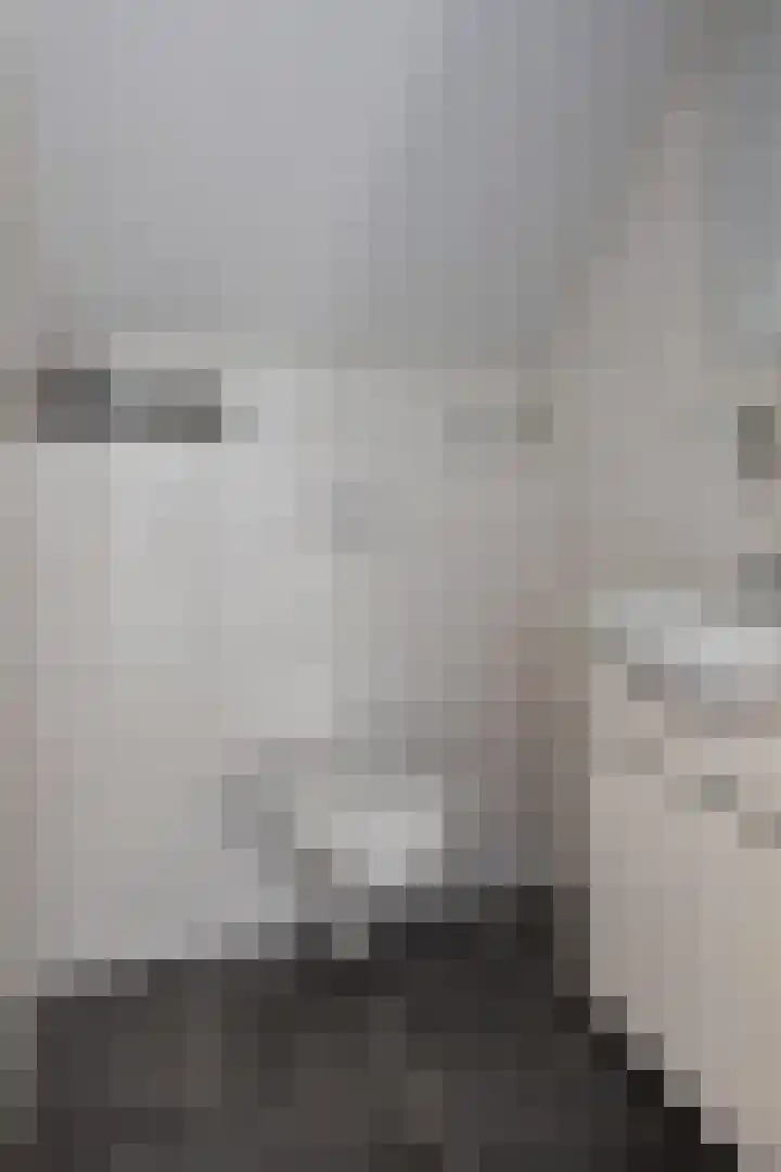 Vosmanskamp 2 Schalkhaar thumbnail 45