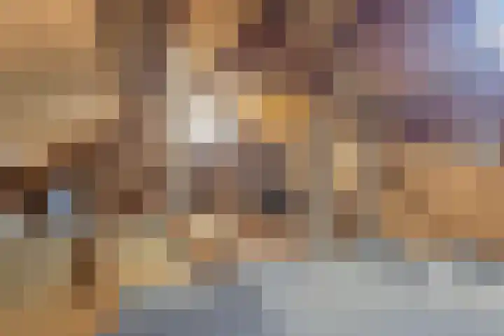Vosmanskamp 2 Schalkhaar thumbnail 47