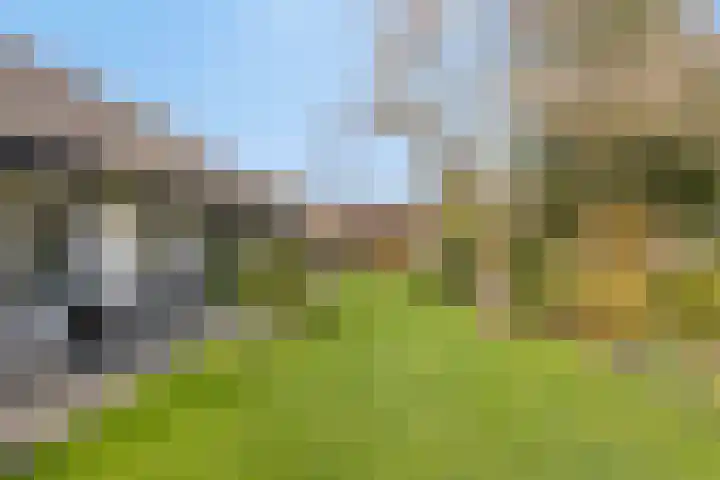 Vosmanskamp 2 Schalkhaar thumbnail 49