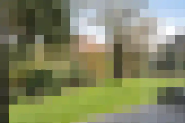 Vosmanskamp 2 Schalkhaar thumbnail 5