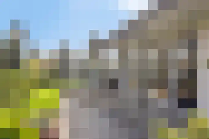 Vosmanskamp 2 Schalkhaar thumbnail 51