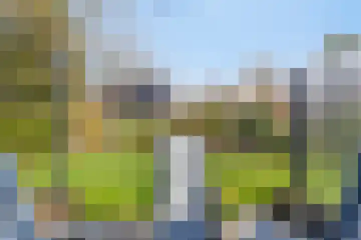 Vosmanskamp 2 Schalkhaar thumbnail 52