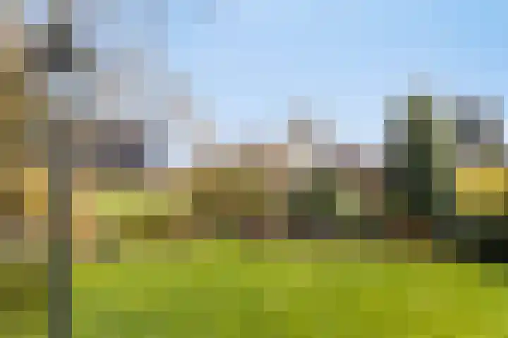 Vosmanskamp 2 Schalkhaar thumbnail 53