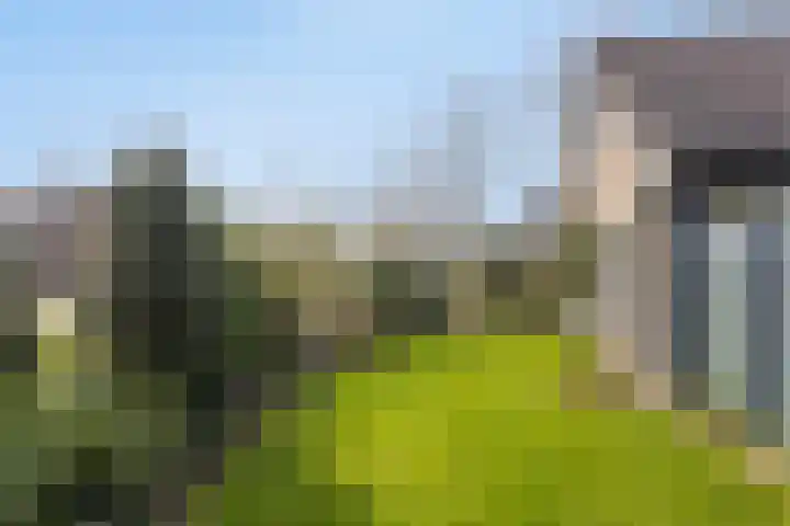 Vosmanskamp 2 Schalkhaar thumbnail 54