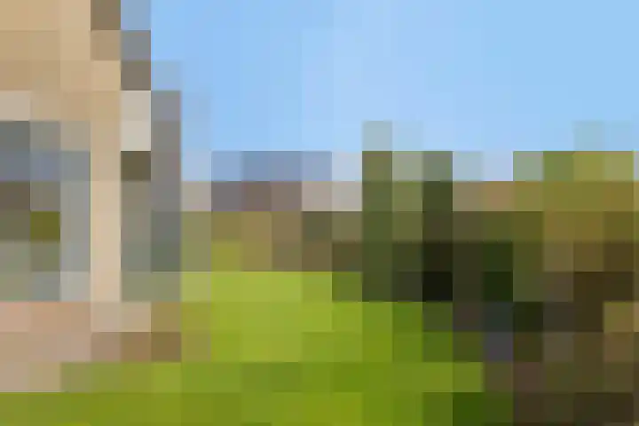 Vosmanskamp 2 Schalkhaar thumbnail 55
