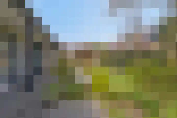 Vosmanskamp 2 Schalkhaar thumbnail 57