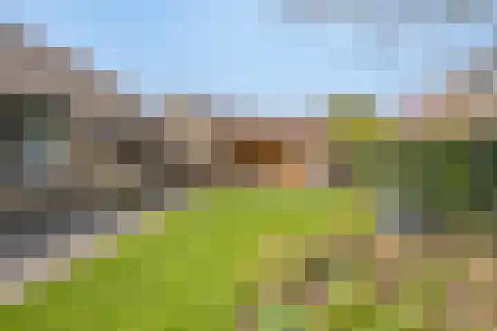 Vosmanskamp 2 Schalkhaar thumbnail 58