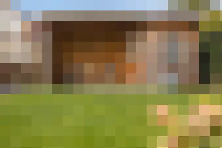 Vosmanskamp 2 Schalkhaar thumbnail 59