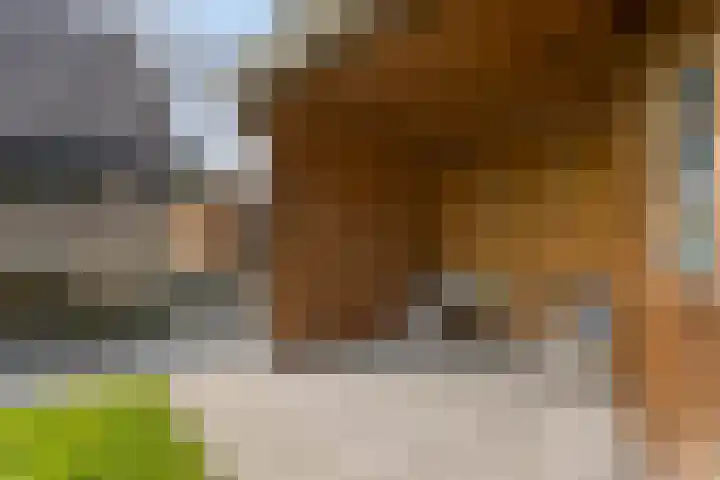 Vosmanskamp 2 Schalkhaar thumbnail 60