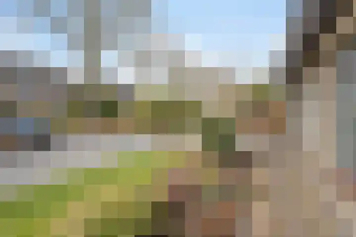Vosmanskamp 2 Schalkhaar thumbnail 65