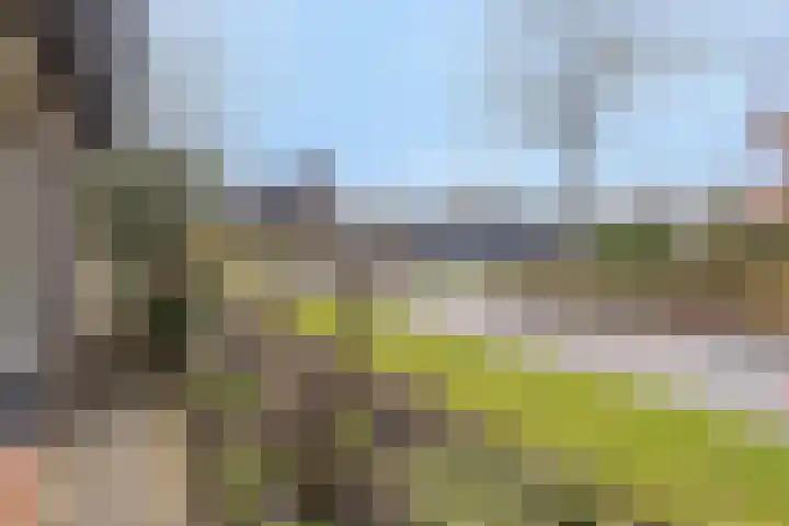 Vosmanskamp 2 Schalkhaar thumbnail 66
