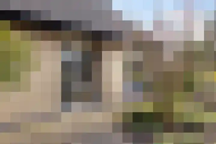 Vosmanskamp 2 Schalkhaar thumbnail 8