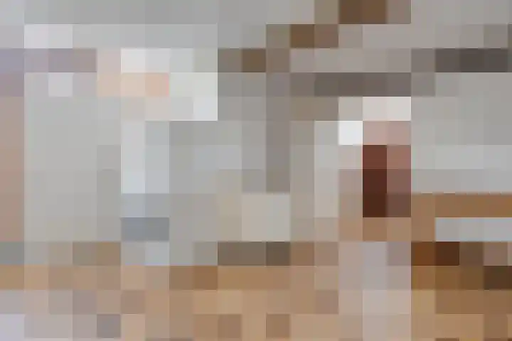 Vosmeerstraat 11 Tubbergen thumbnail 11
