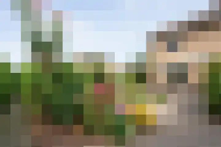 Vosmeerstraat 11 Tubbergen thumbnail 19