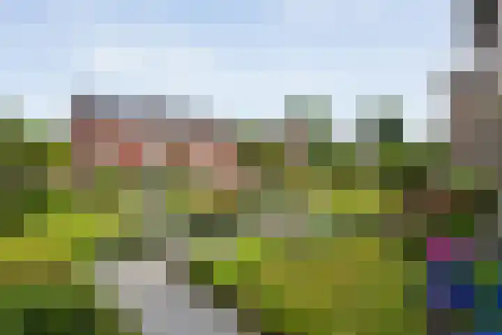 Vosmeerstraat 11 Tubbergen thumbnail 22