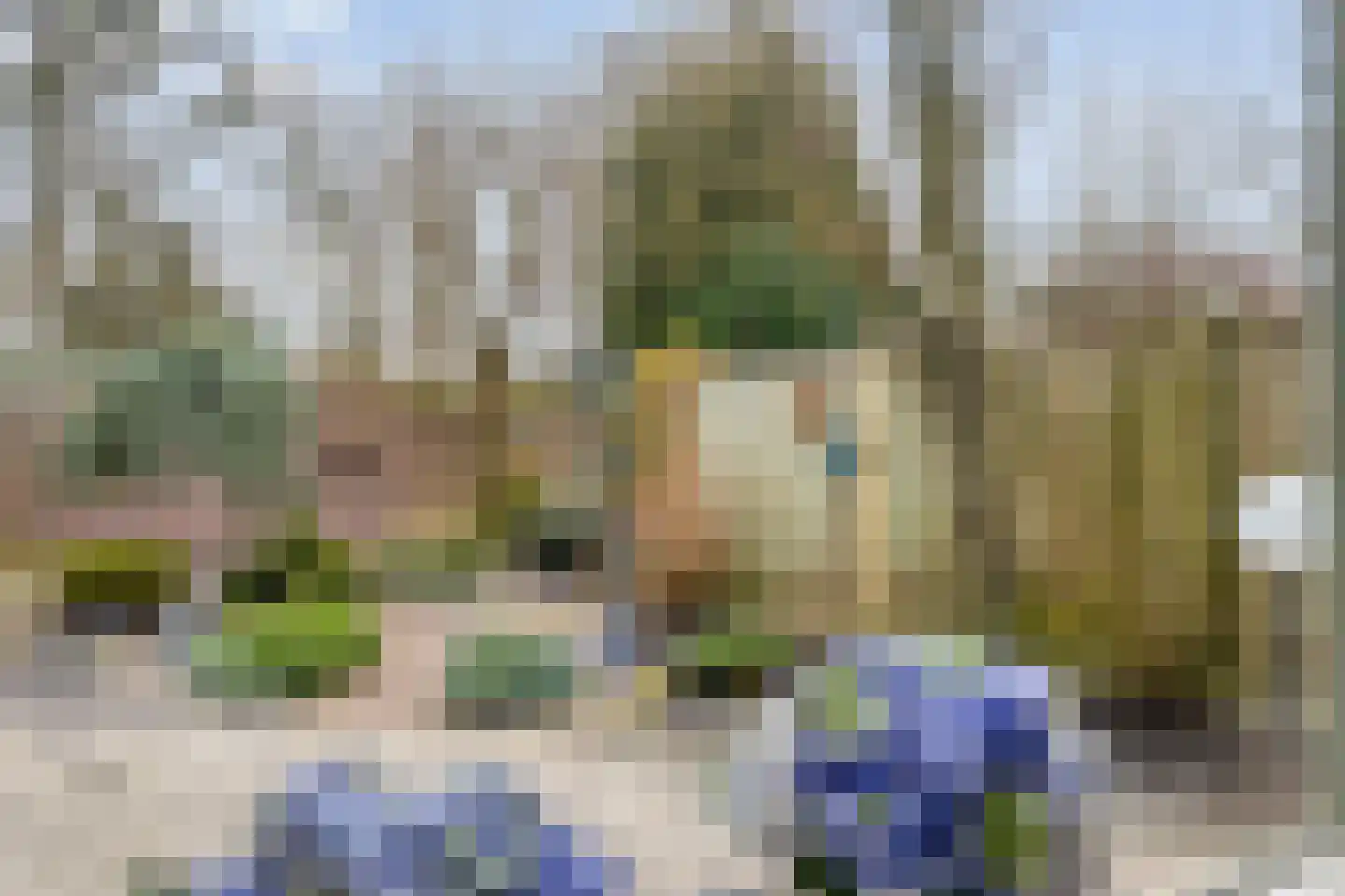 Vosmeerstraat 22 Tubbergen thumbnail 11