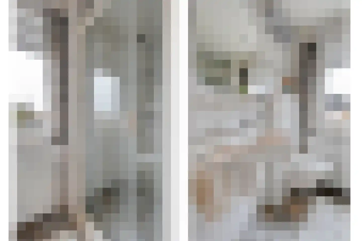 Vosmeerstraat 22 Tubbergen thumbnail 21
