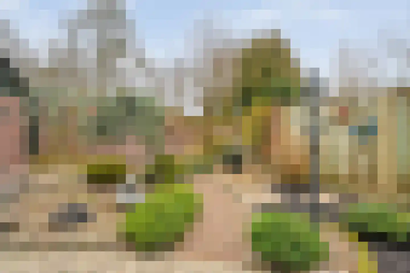 Vosmeerstraat 22 Tubbergen thumbnail 22