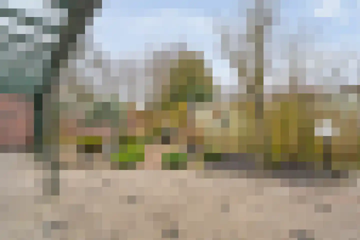 Vosmeerstraat 22 Tubbergen thumbnail 23