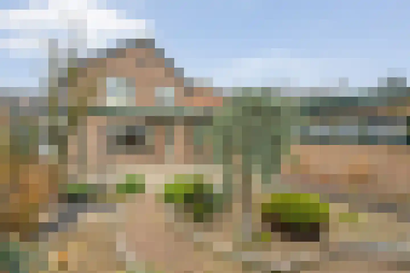 Vosmeerstraat 22 Tubbergen thumbnail 25