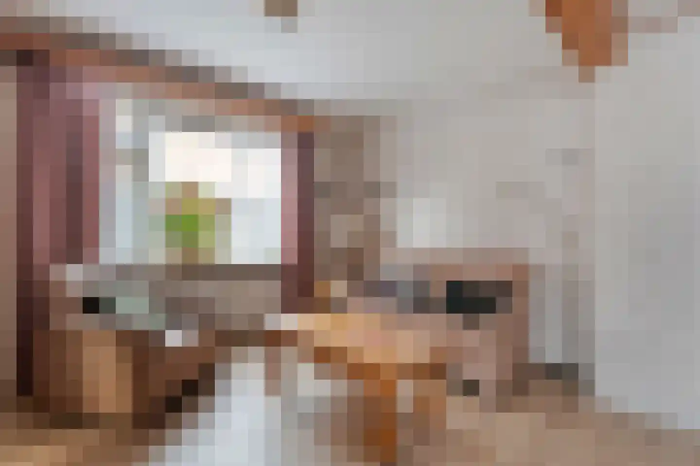 Vosmeerstraat 22 Tubbergen thumbnail 6