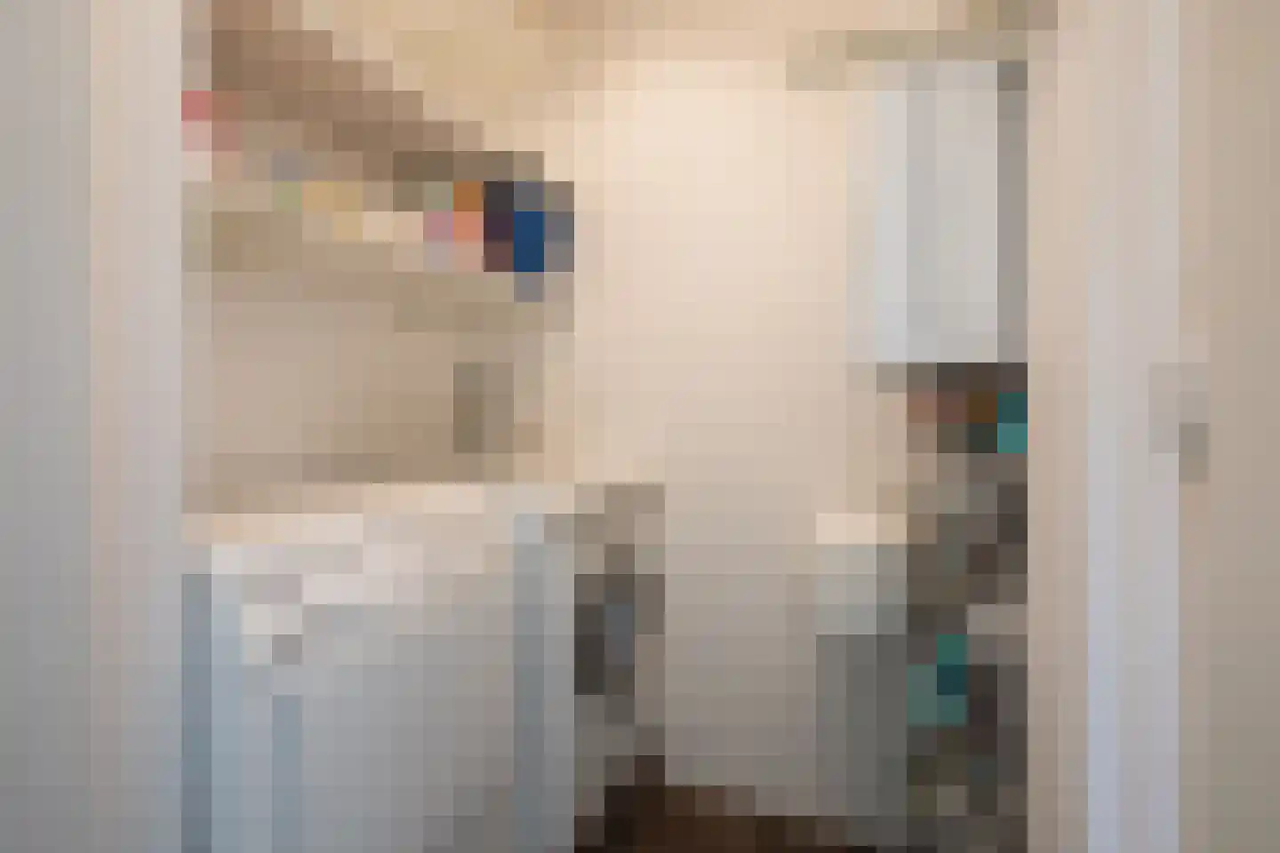 Vosmeerstraat 6 Ouderkerk aan de Amstel thumbnail 26