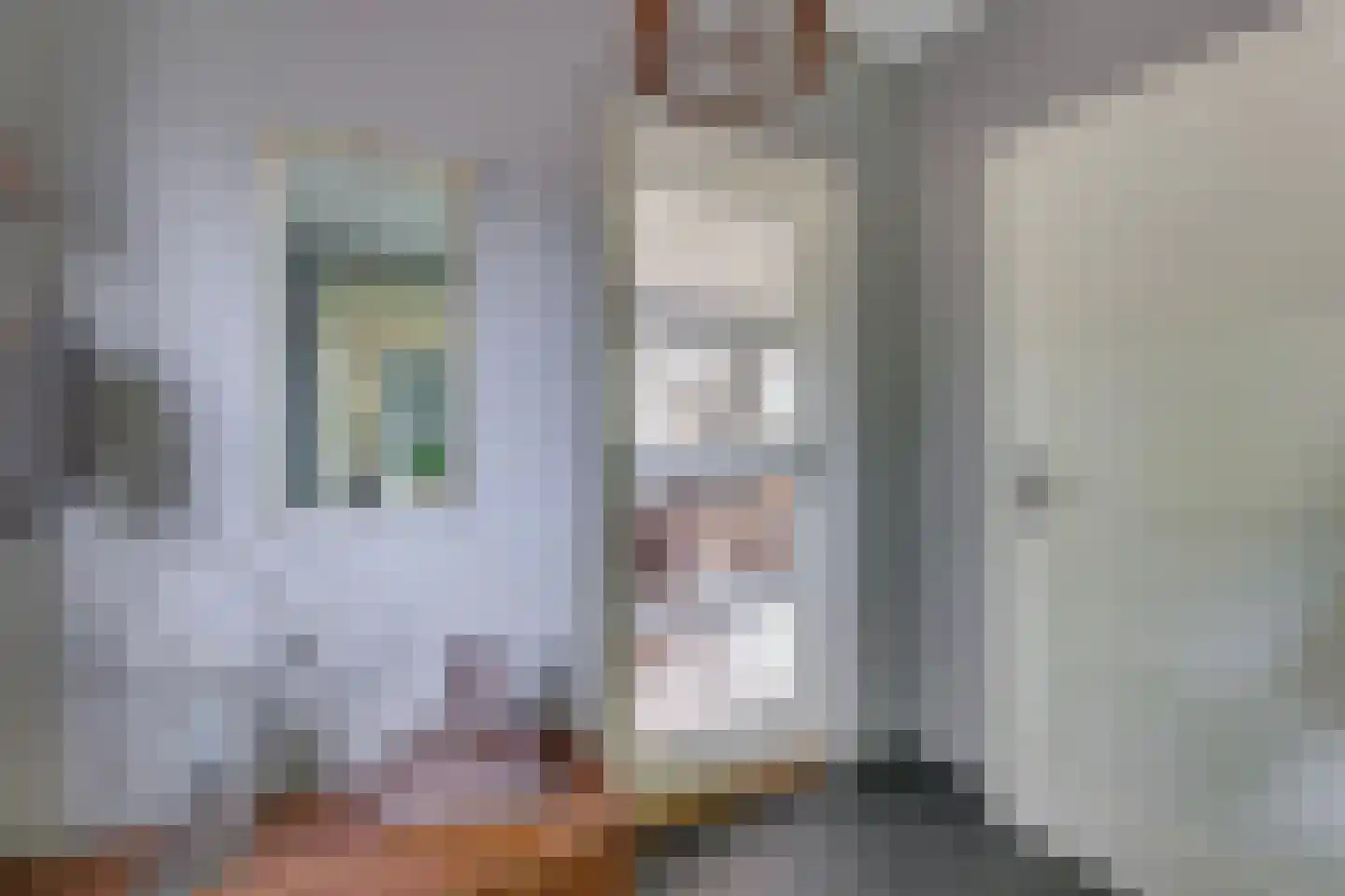 Vossebelt 4 Dalen thumbnail 10