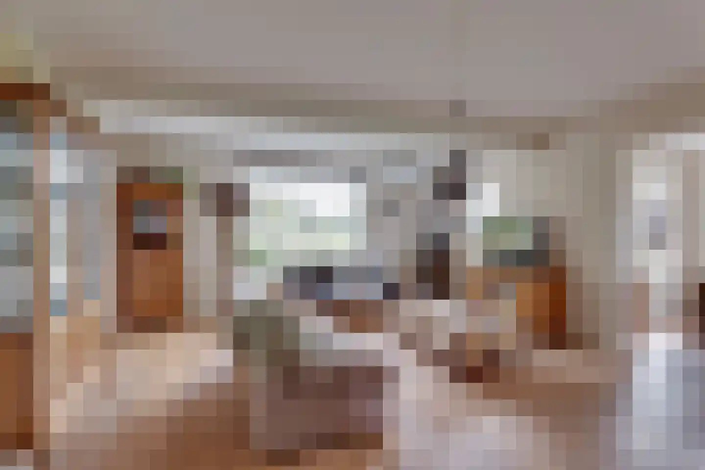 Vossebelt 4 Dalen thumbnail 11