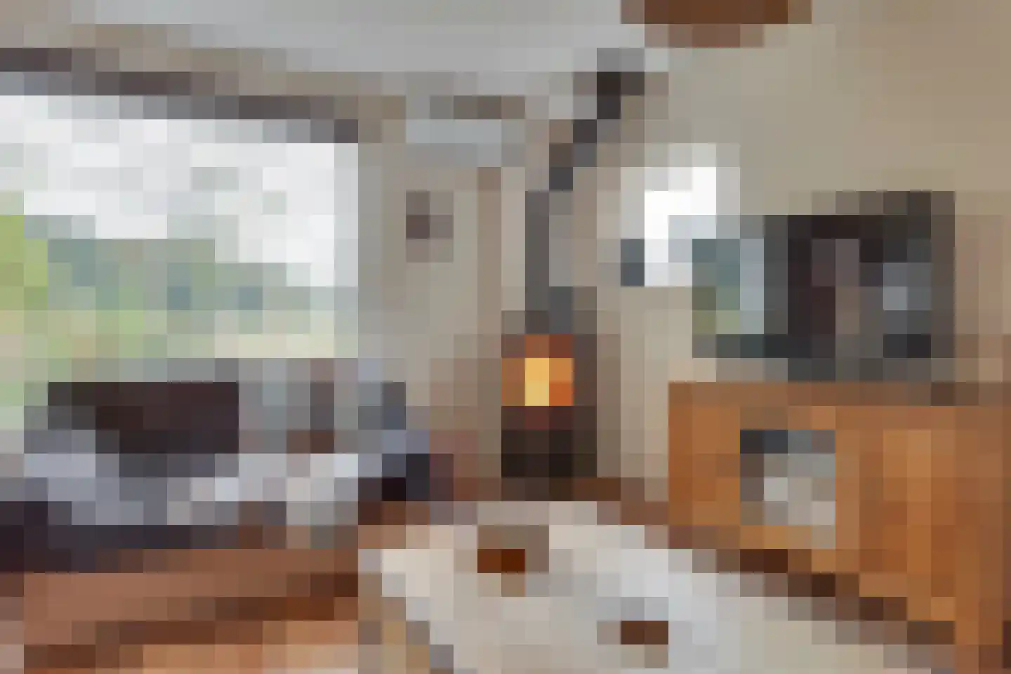 Vossebelt 4 Dalen thumbnail 12