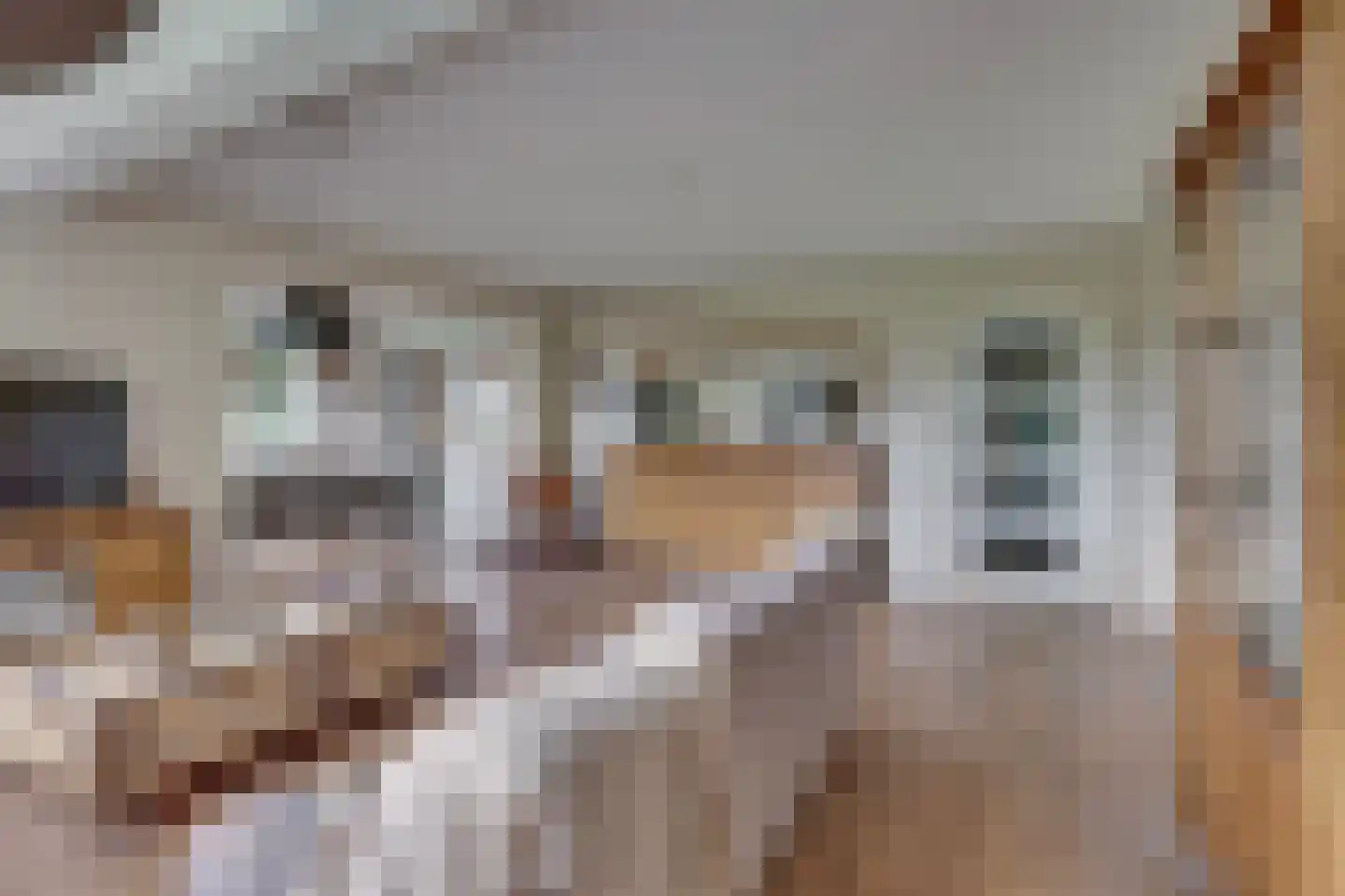 Vossebelt 4 Dalen thumbnail 13