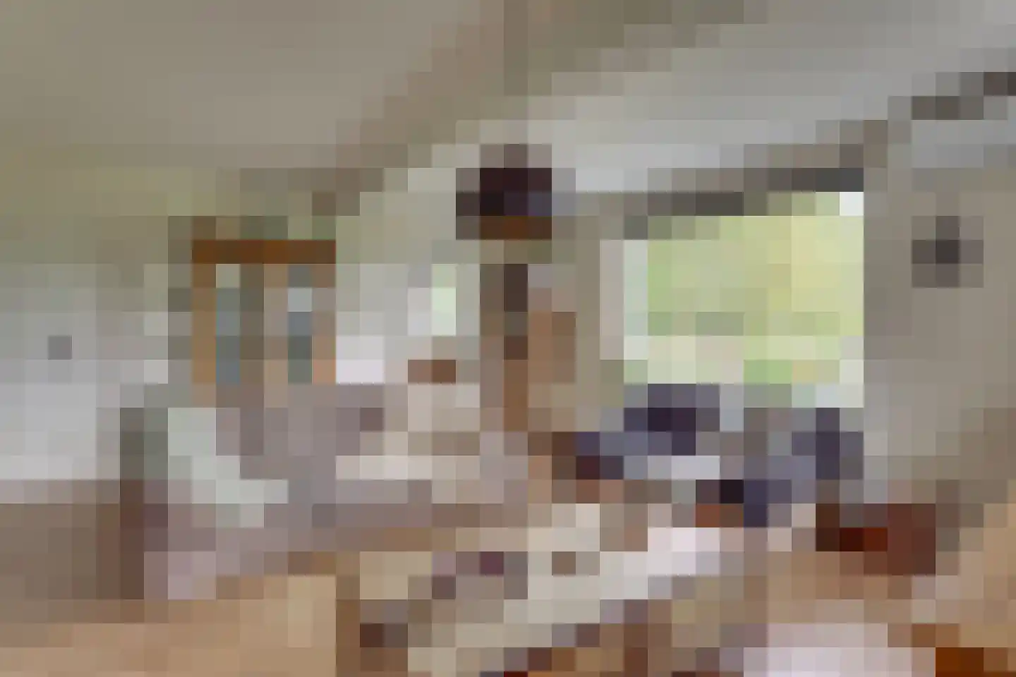 Vossebelt 4 Dalen thumbnail 14