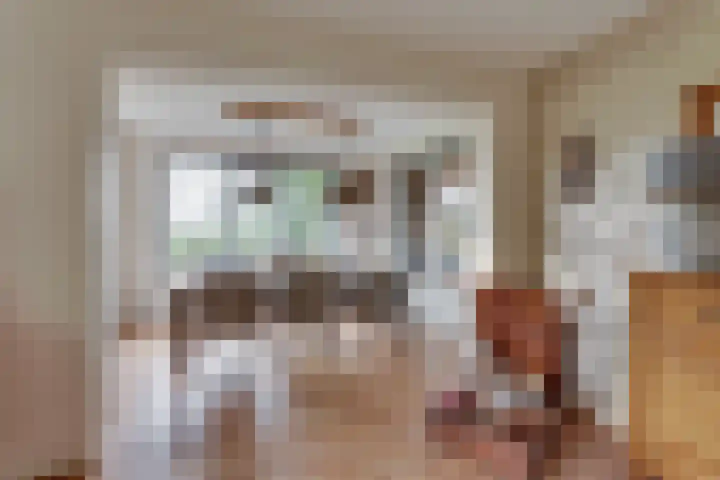 Vossebelt 4 Dalen thumbnail 16