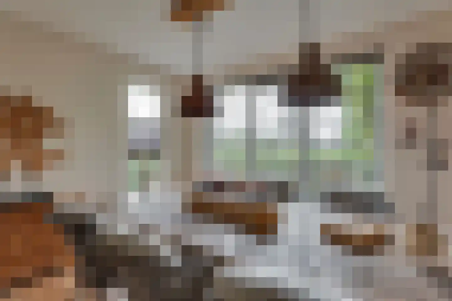 Vossebelt 4 Dalen thumbnail 17