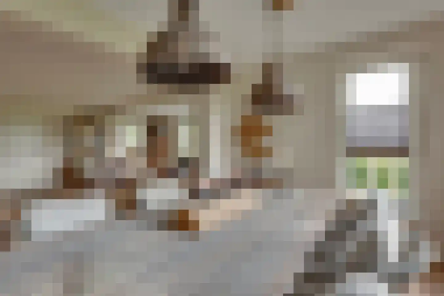 Vossebelt 4 Dalen thumbnail 18