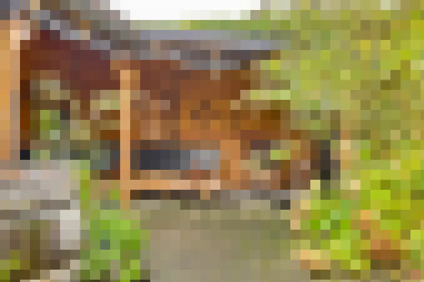 Vossebelt 4 Dalen thumbnail 24