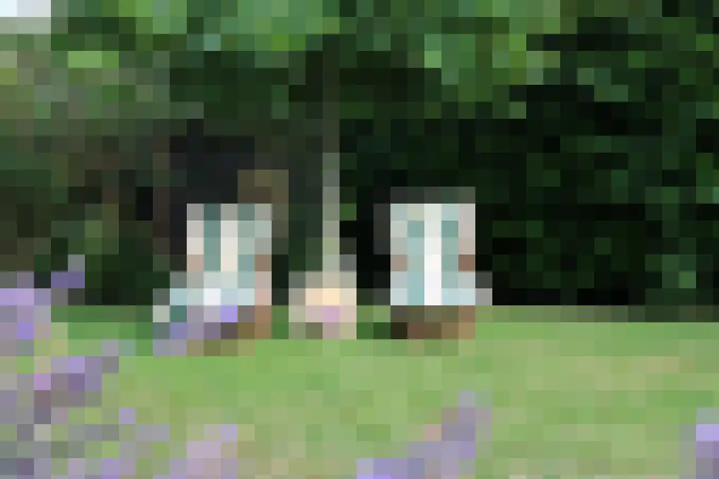 Vossebelt 4 Dalen thumbnail 27