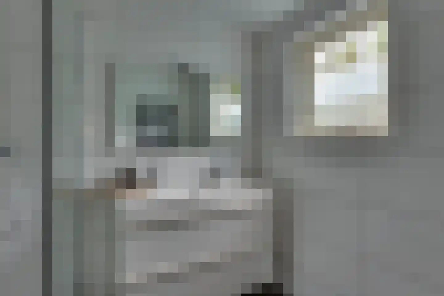 Vossebelt 4 Dalen thumbnail 29