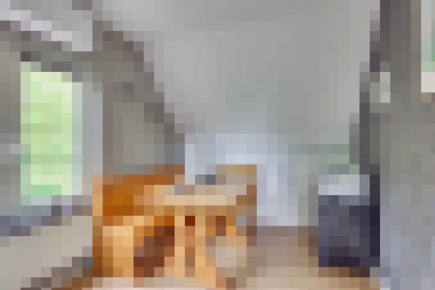 Vossebelt 4 Dalen thumbnail 36