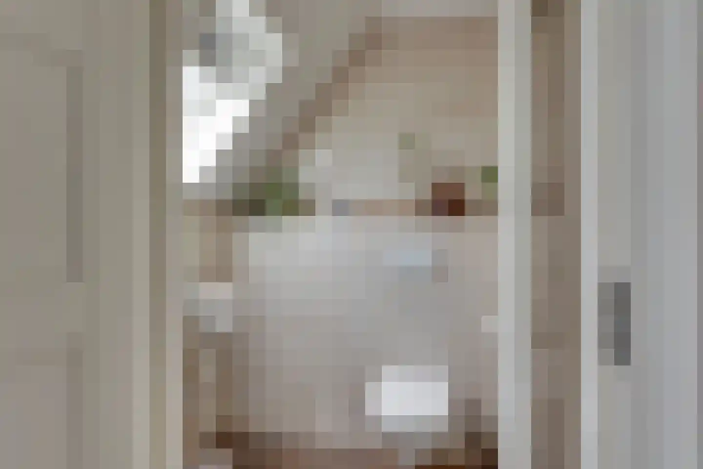 Vossebelt 4 Dalen thumbnail 37