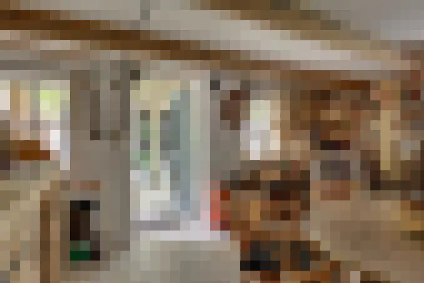 Vossebelt 4 Dalen thumbnail 38